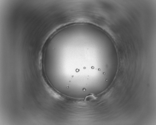 X0000069831126200605191133