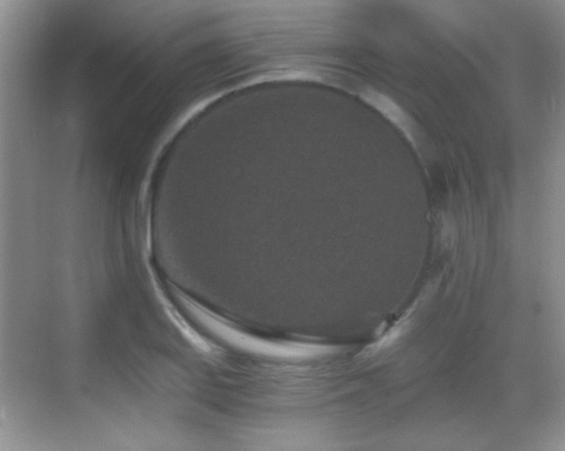 X0000069831127200605191133