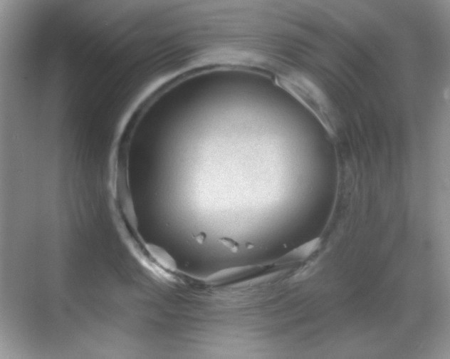 X0000069831128200605191133