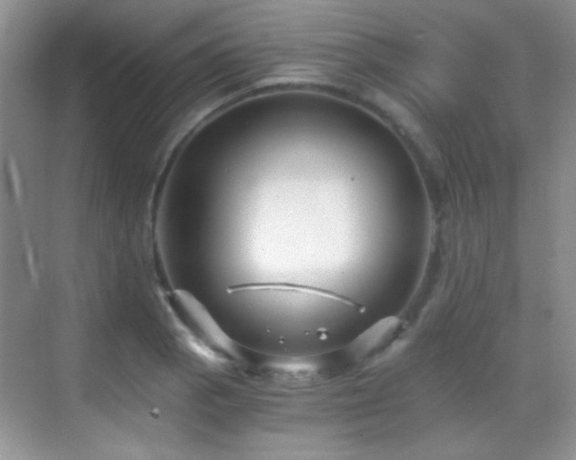 X0000069831129200605191133