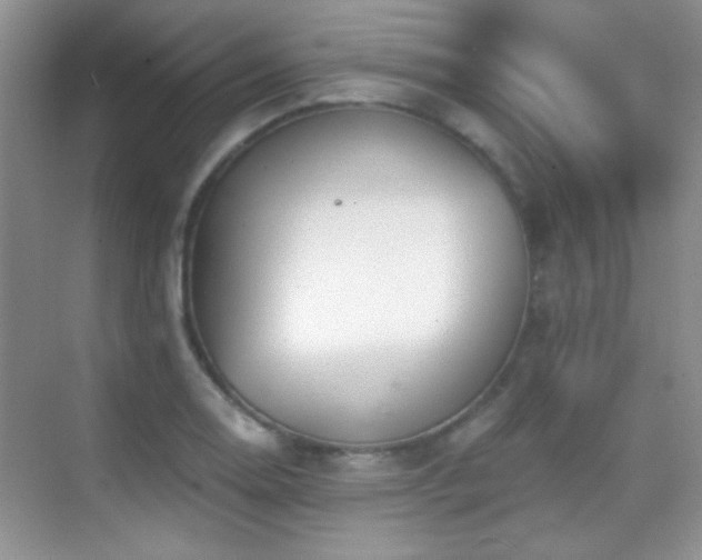 X0000069831130200605191133