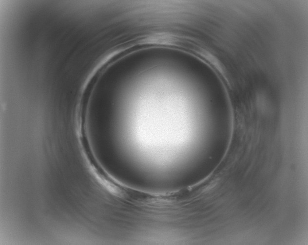 X0000069831131200605191133