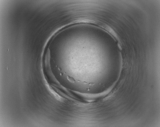 X0000069831132200605191133