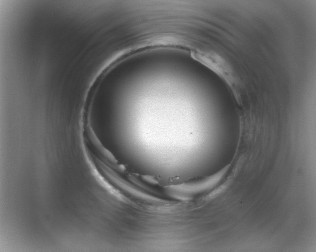 X0000069831134200605191133