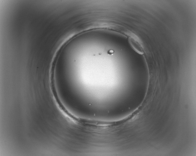 X0000069831135200605191133