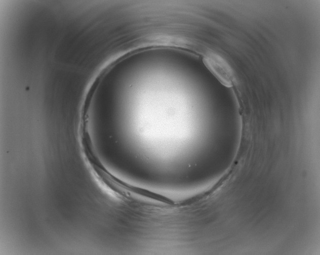 X0000069831136200605191133