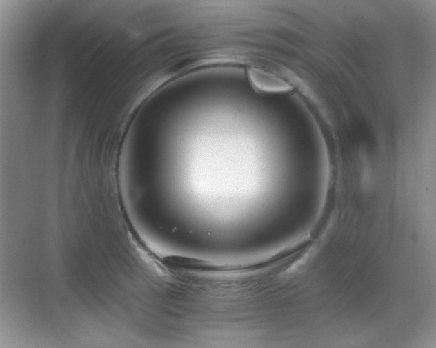 X0000069831137200605191133