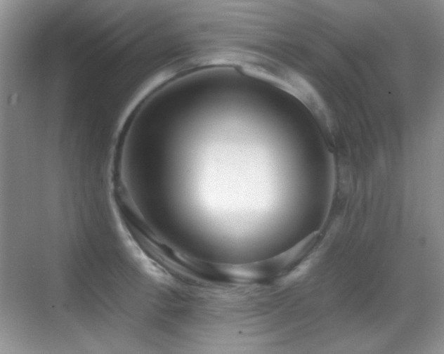 X0000069831138200605191133