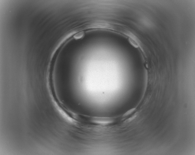 X0000069831139200605191133