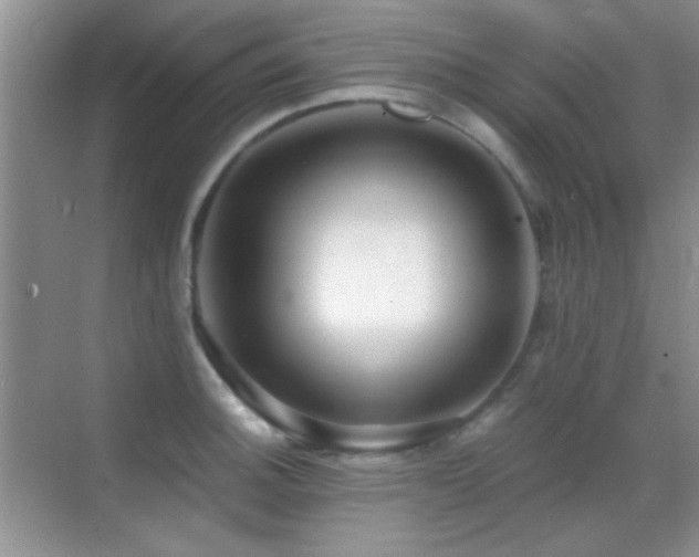 X0000069831140200605191133