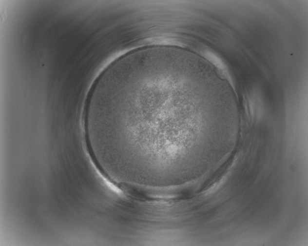 X0000069831141200605191133