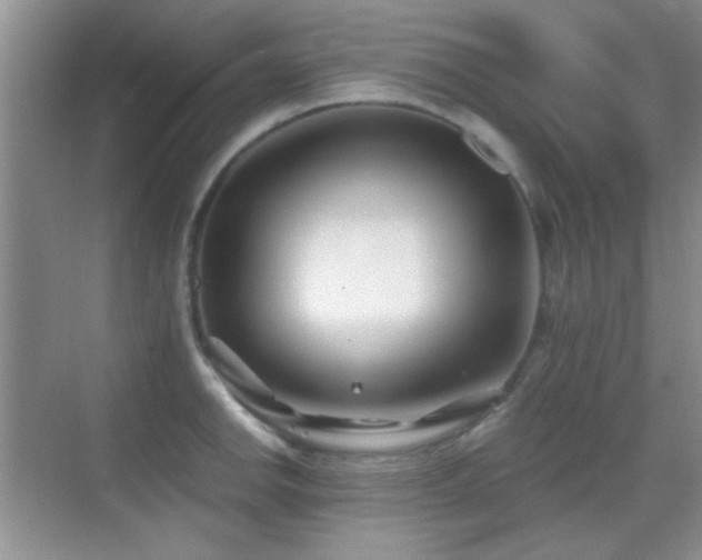 X0000069831142200605191133