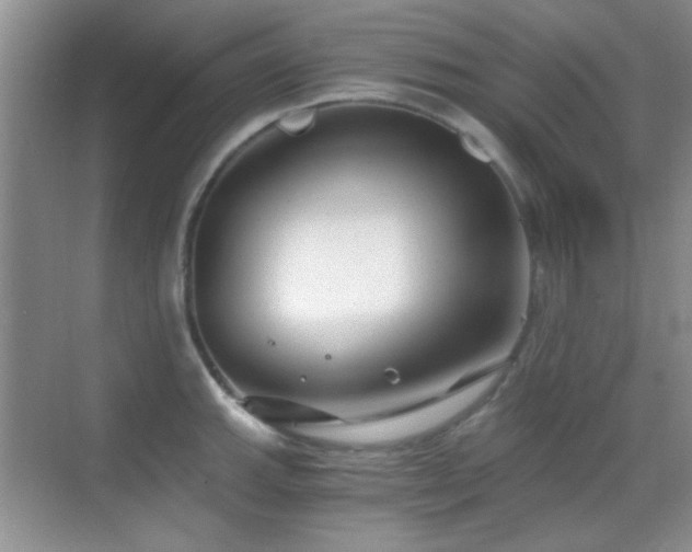 X0000069831143200605191133