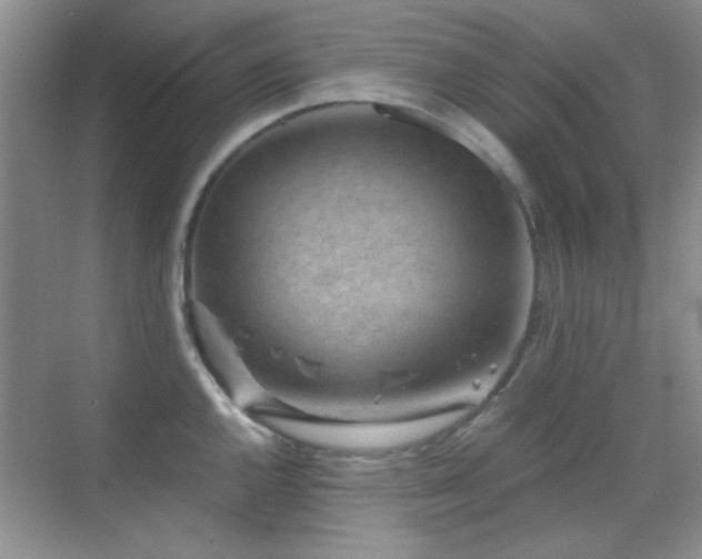 X0000069831144200605191133