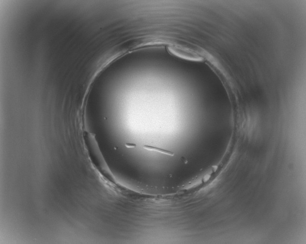 X0000069831145200605191133