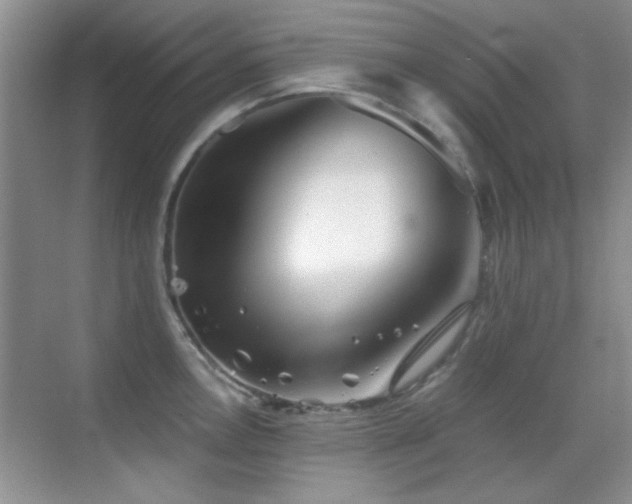 X0000069831146200605191133