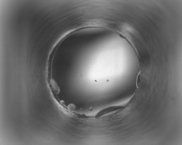 X0000069831147200605191133