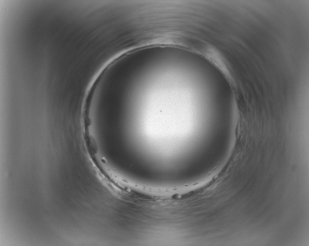 X0000069831148200605191133