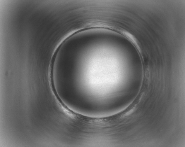 X0000069831149200605191133