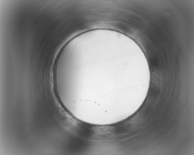 X0000069831150200605191133