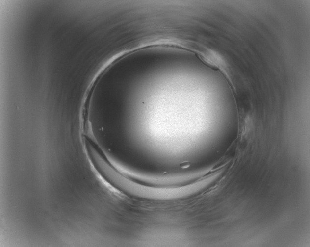 X0000069831151200605191133