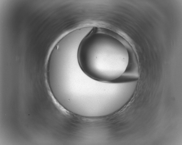 X0000069831152200605191133