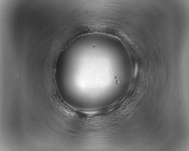 X0000069831153200605191132