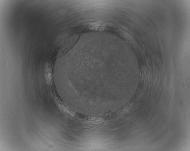 X0000069831154200605191132