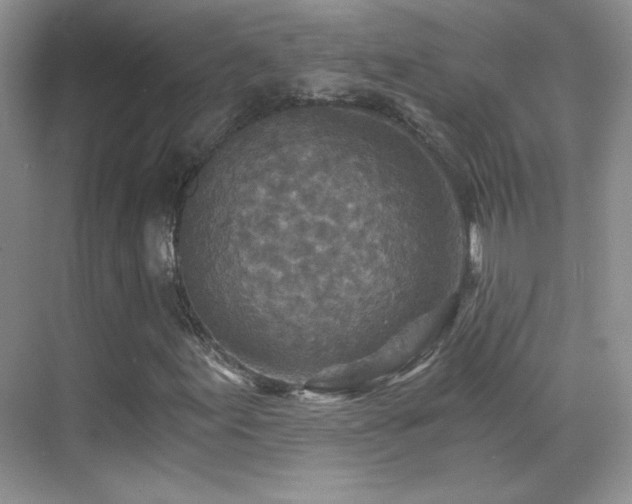 X0000069831155200605191132