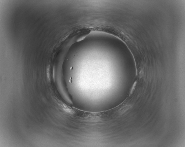 X0000069831156200605191132