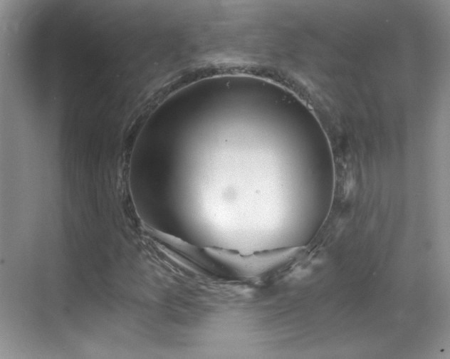 X0000069831157200605191132