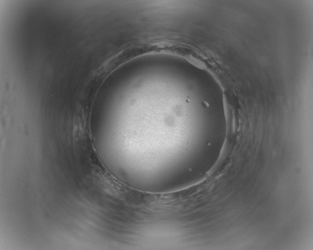 X0000069831158200605191132