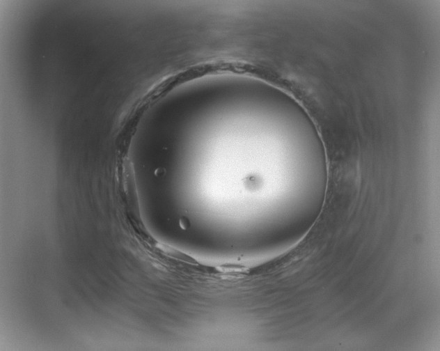 X0000069831159200605191132