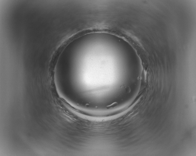 X0000069831160200605191132