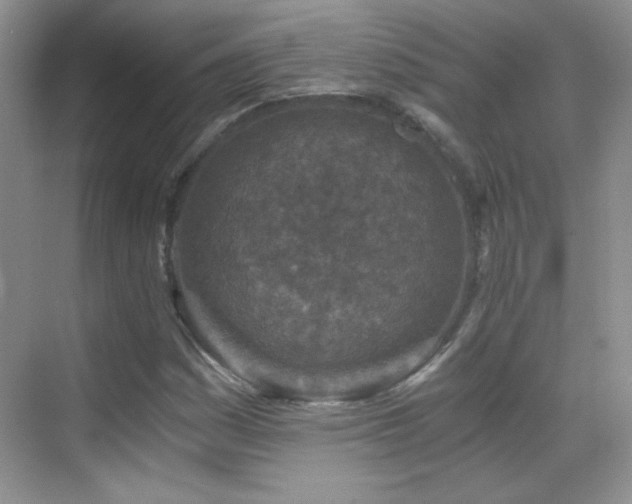 X0000069831161200605191132