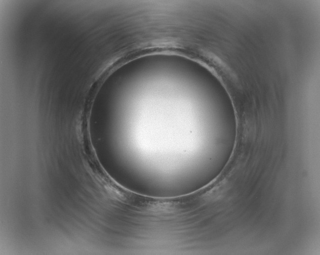 X0000069831162200605191132