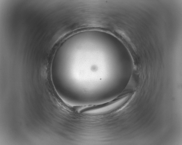 X0000069831163200605191132