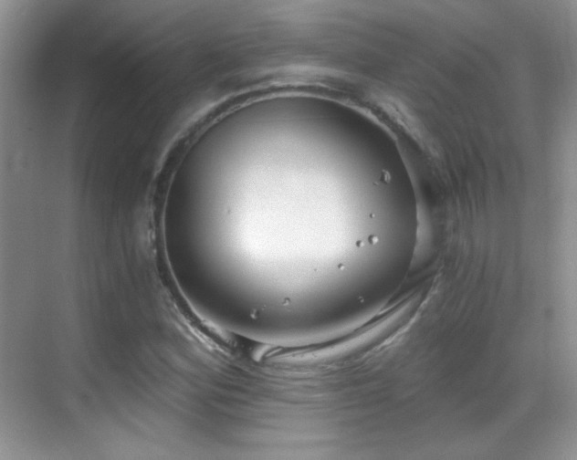 X0000069831164200605191132