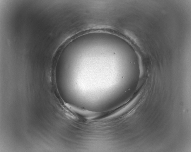 X0000069831165200605191132