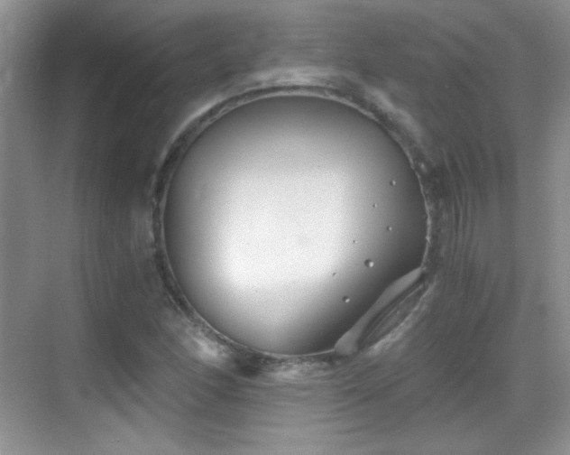 X0000069831166200605191132