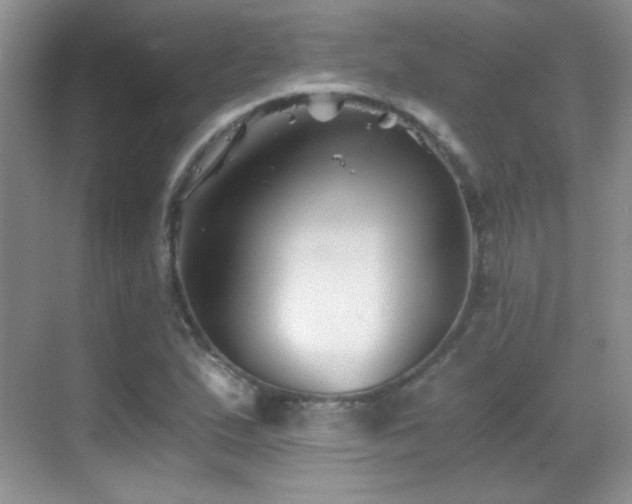 X0000069831167200605191132