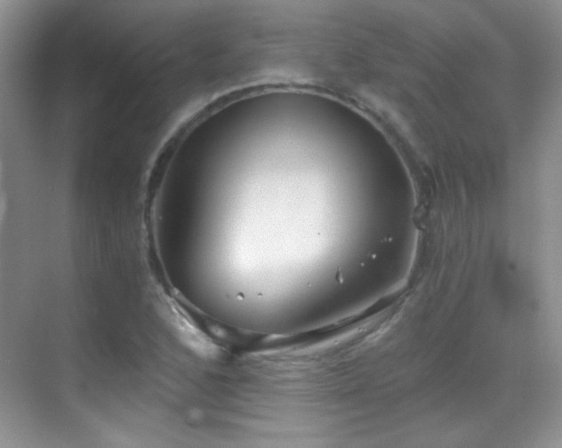 X0000069831168200605191132