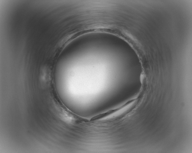 X0000069831169200605191132