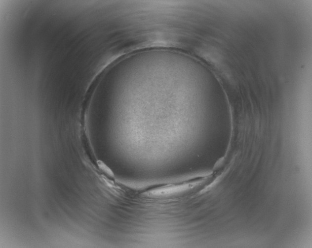 X0000069831170200605191132