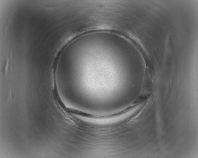 X0000069831171200605191132