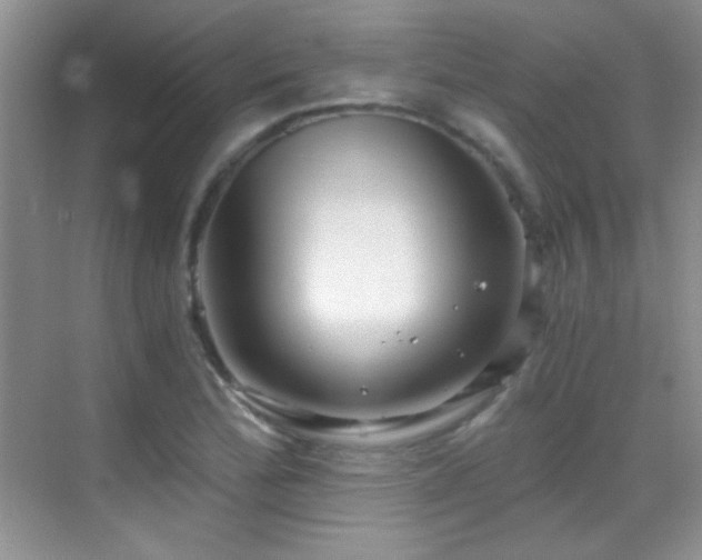 X0000069831172200605191132