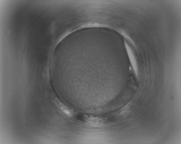 X0000069831173200605191132