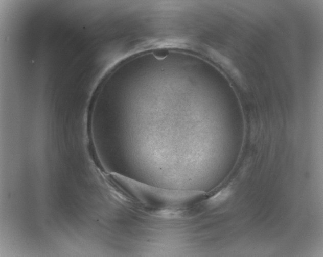 X0000069831174200605191132