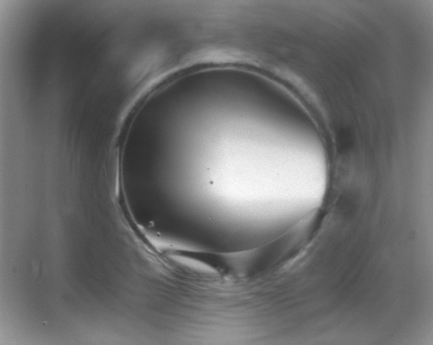 X0000069831175200605191132