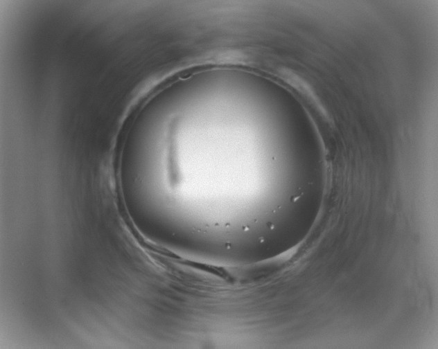 X0000069831176200605191132